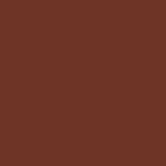 Soft Plastic Paint 3019- Brown