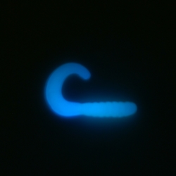 Super Glow Blue 173