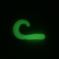 Super Glow Green 175