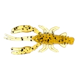 Pumpkinseed